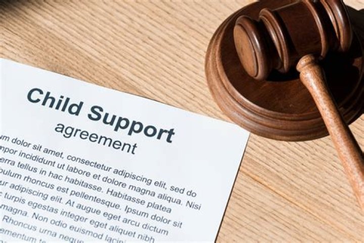 What does child support cover in GA?