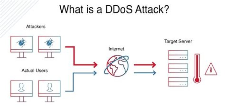 What does DDoS mean?