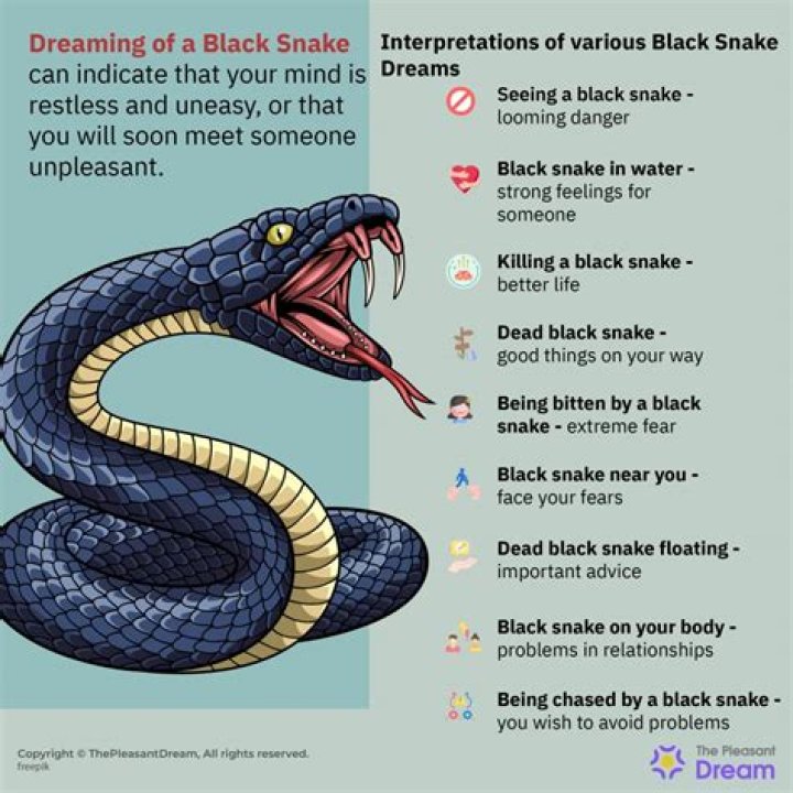 What does dreaming of a black cobra mean?