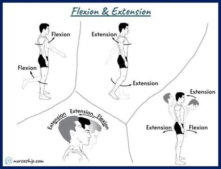What does extension mean in philosophy?