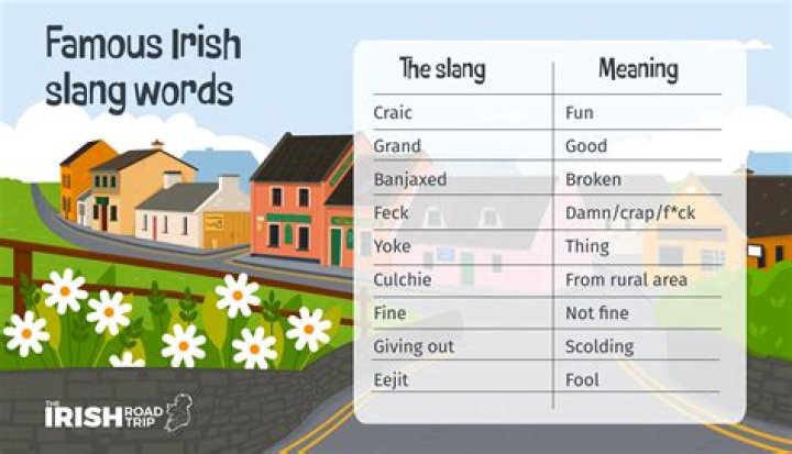 What does Feck mean in Irish slang?