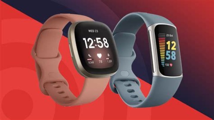 What does Fitbit come with?