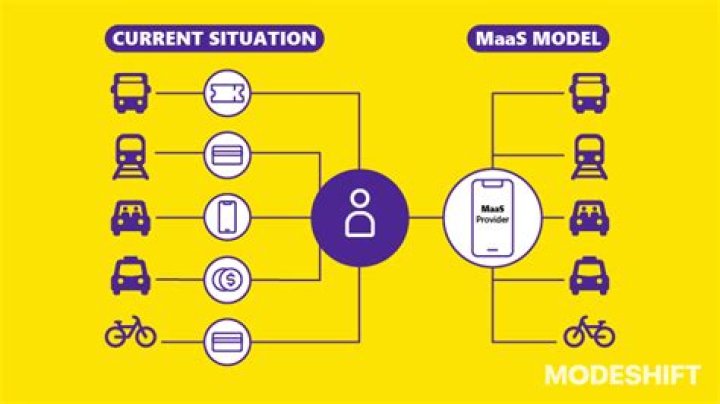 What does IBM Maas stand for?
