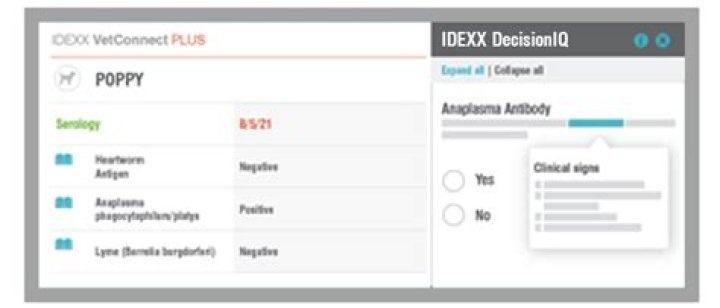 What does Idexx 4DX test for?