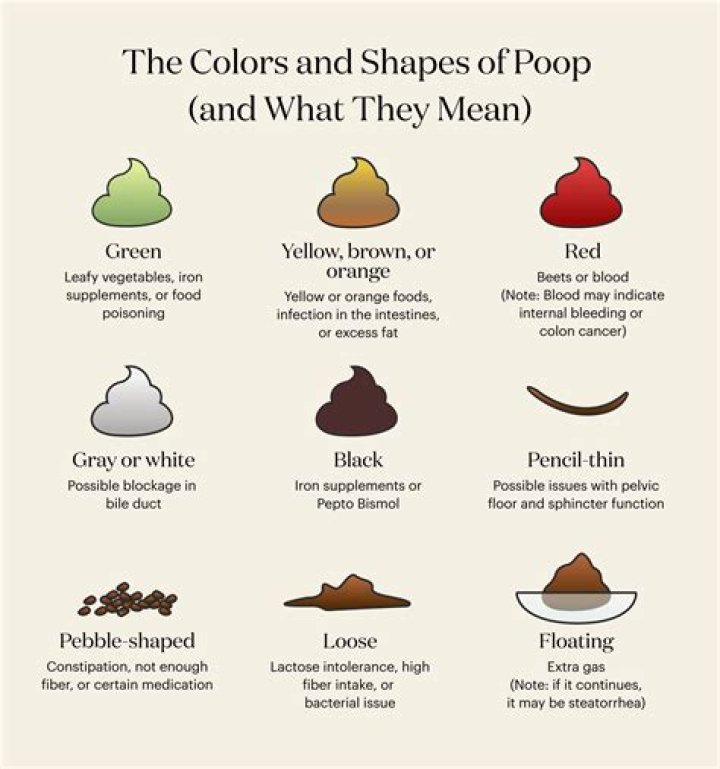 What does it mean to be in the dumps?