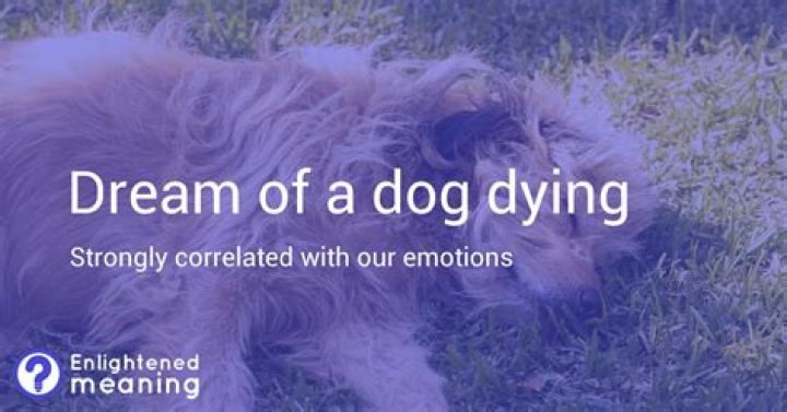 What does it mean to dream of a dead puppy?