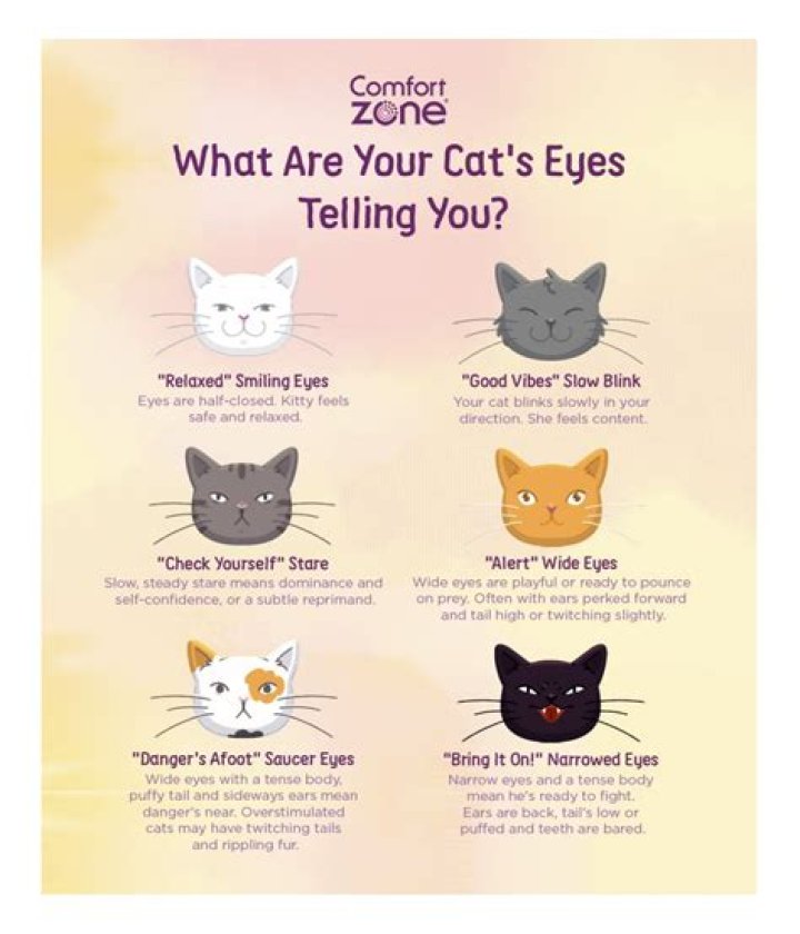 What does it mean to lower your eyes?