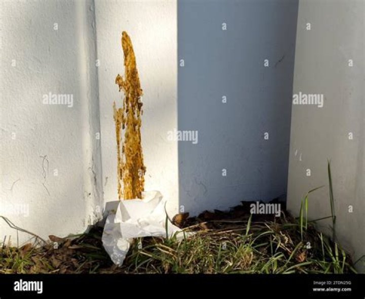 What does it mean when someone smears feces on the wall?