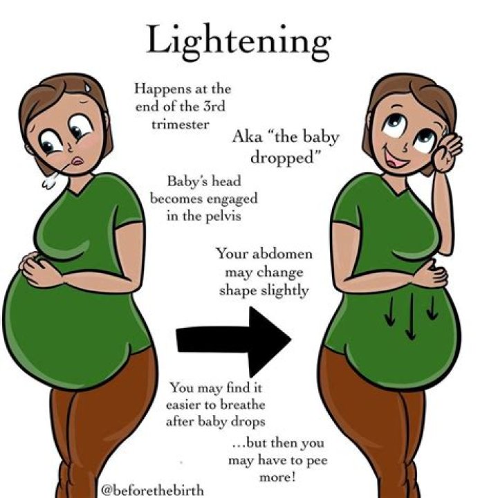 What does it mean when your baby belly drops?