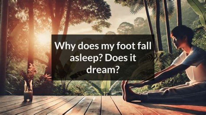 What does it mean when your foot falls asleep?