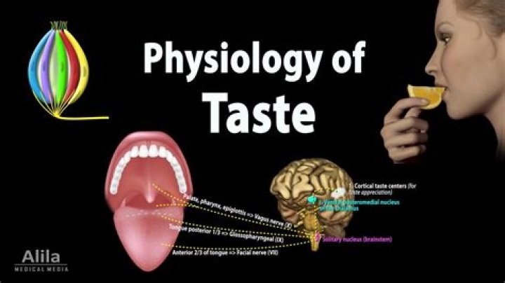 What does it taste like meaning?