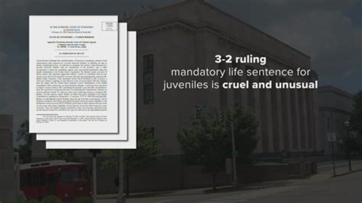 What does mandatory life sentence mean?
