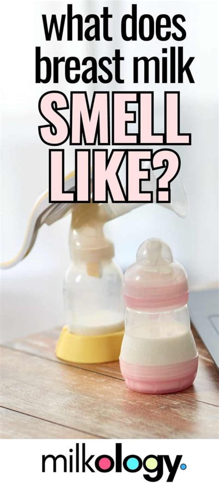 What does milk smell like?