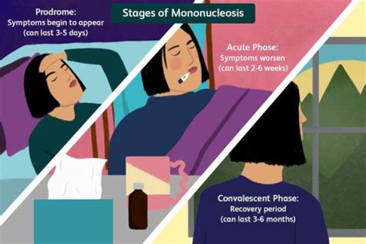 What does mono mean?