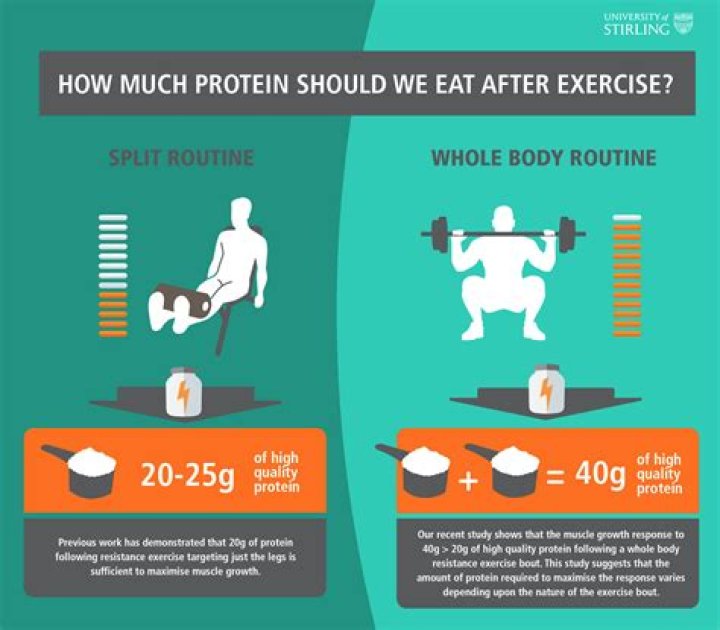 What does protein help when working out?