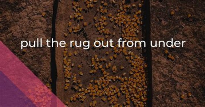 What does pull the rug out from under you mean?