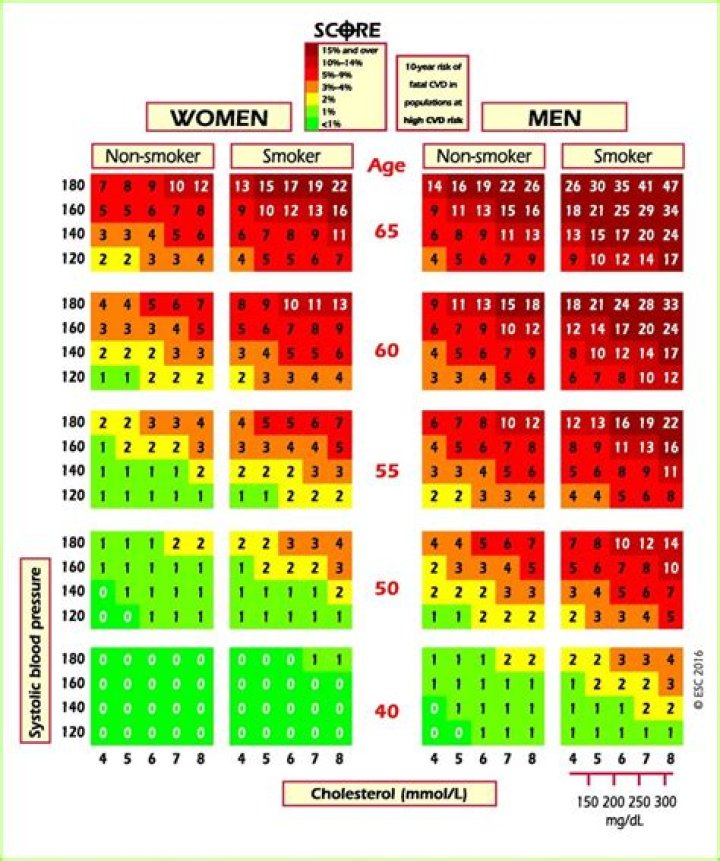 What does QRISK2 cardiovascular disease 10-year risk score mean?