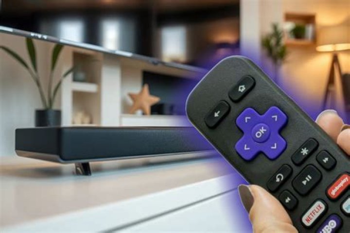 What does remote support mean in zoom?