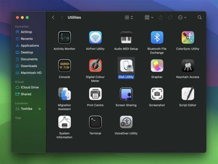 What does repair disk do on Mac?
