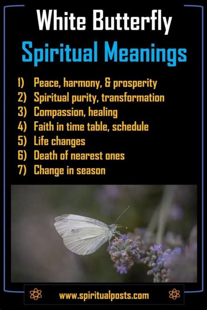 What does seeing white butterflies mean spiritually?