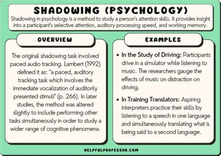 What does Shadow mean in psychology?