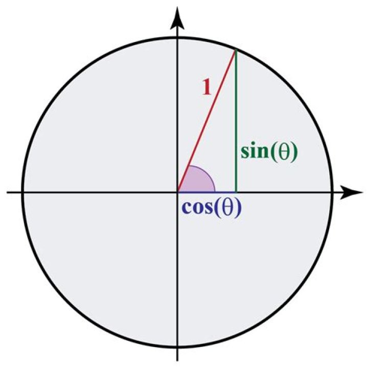 What does Sine mean?