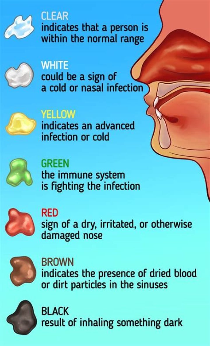 What does snot nose mean?