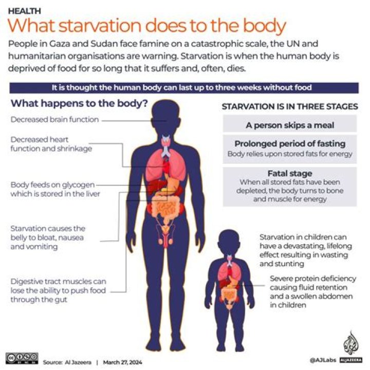 What does starve to death?
