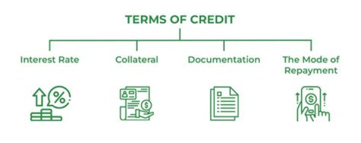 What does terms of credit include?