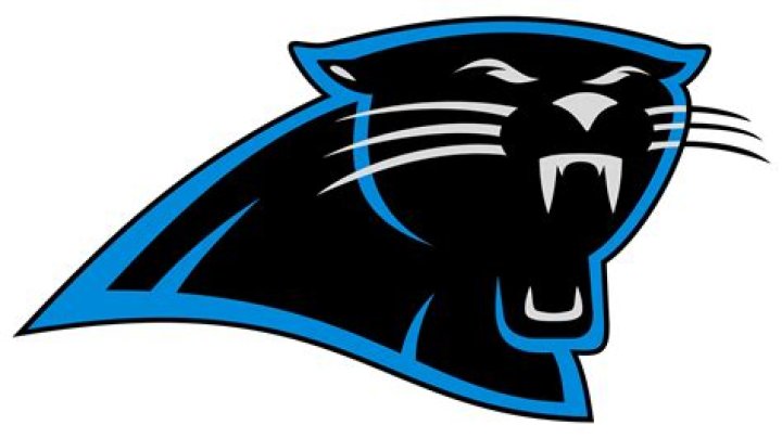 What does the Carolina Panthers logo look like?