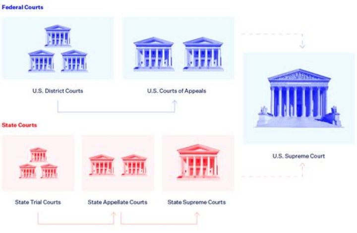 What does the federal circuit court deal with?