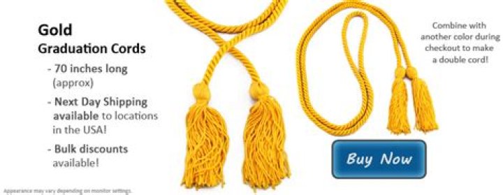 What does the gold cord on the VA seal symbolize?