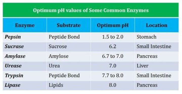What does the optimum pH mean?