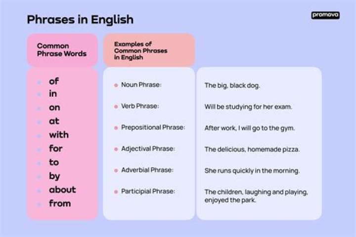 What does the phrase check out mean?