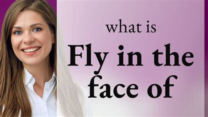 What does the phrase on the fly mean?