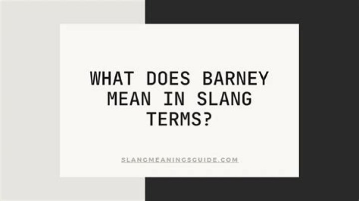 What does the slang term Barney mean?