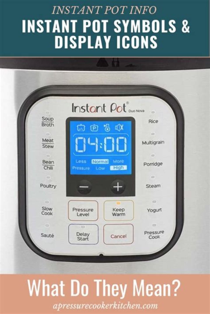 What does the thermometer on the instant pot mean?