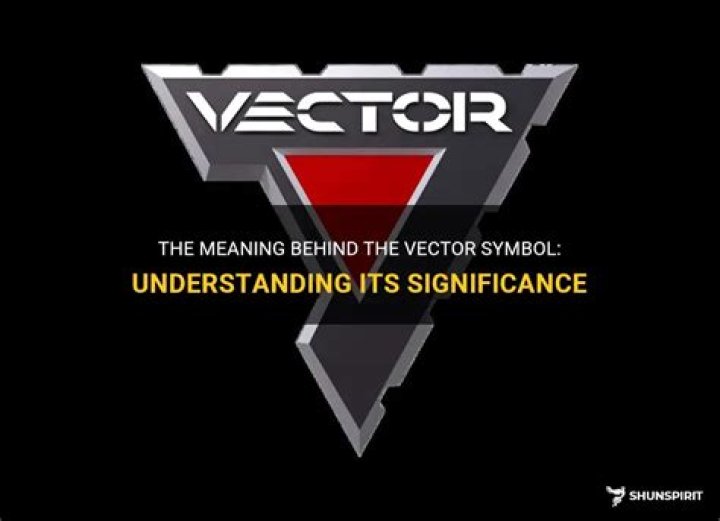 What does the vector symbol mean?