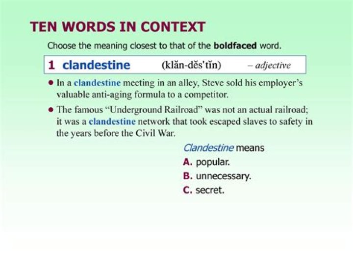What does the word clandestine?