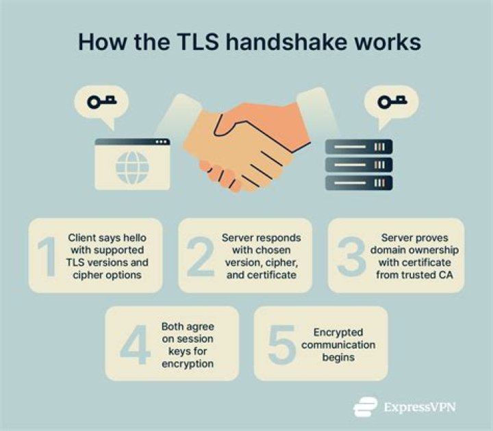 What does TLS mean in slang?