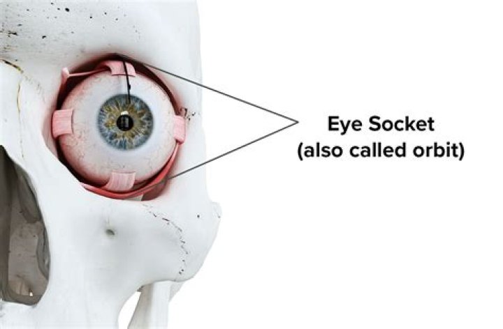 What does to pick the eyes out of mean?
