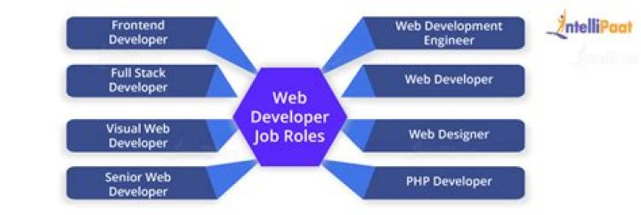 What does Web developer mean?