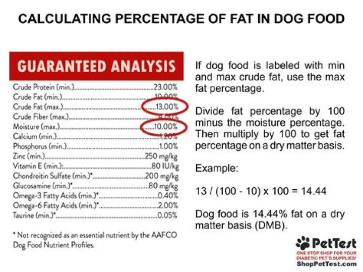 What dog food has the highest calories?