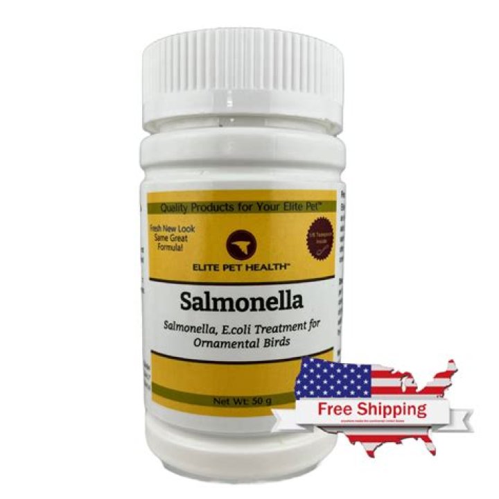 What dog treat has salmonella?
