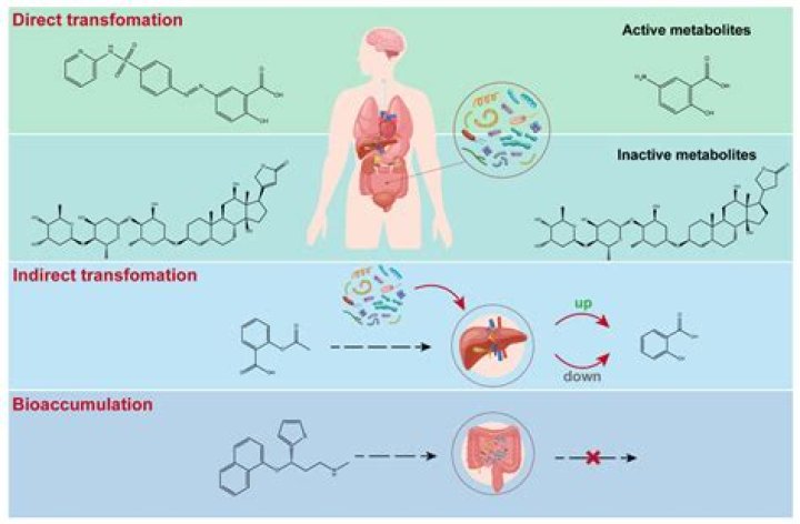 What drug gives you diarrhea?