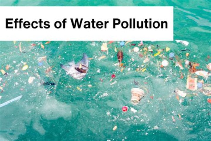 What effect does water pollution have on biodiversity?