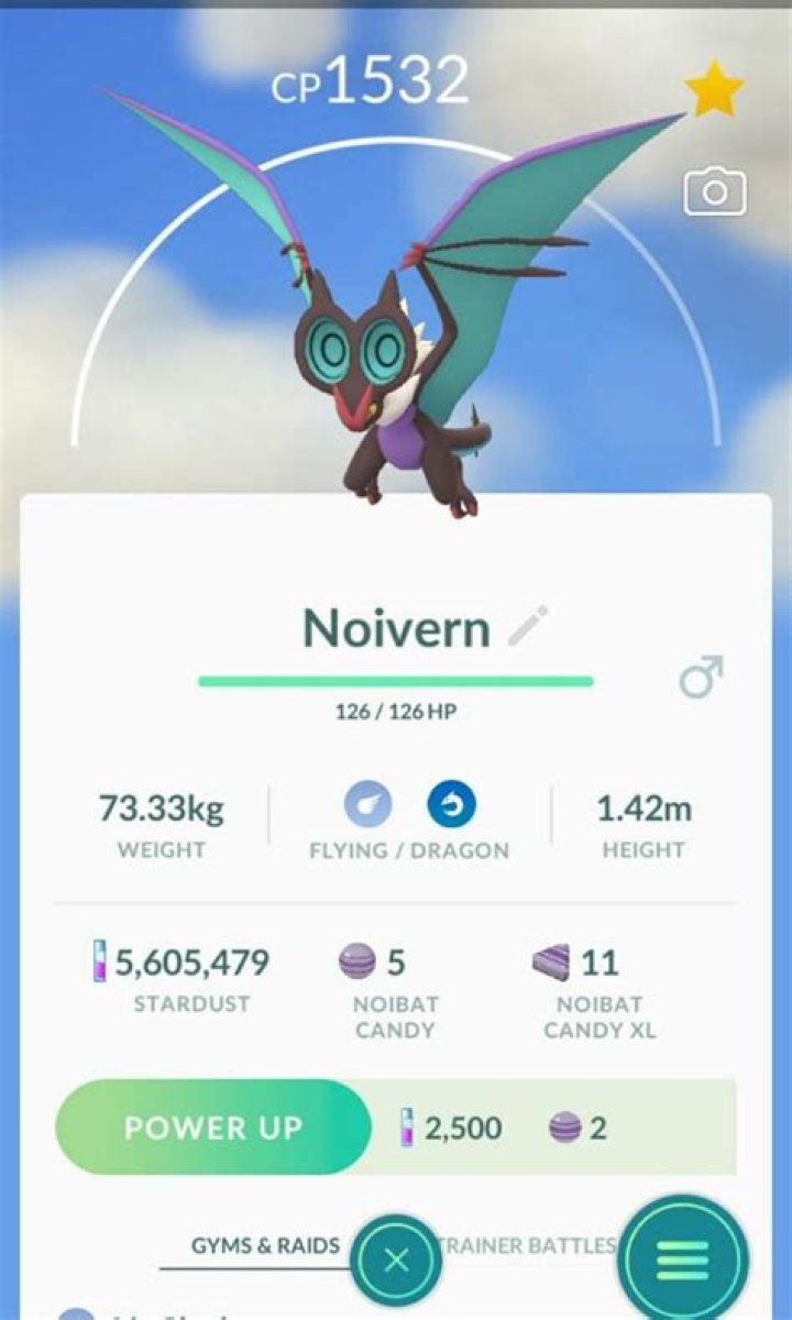 What egg group is Noivern?