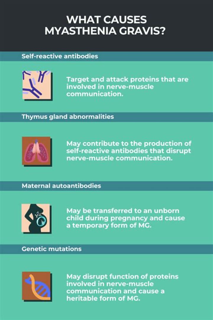 What endocrine disorder is closely associated with myasthenia gravis?