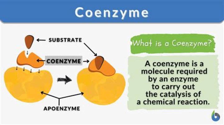 What enzyme uses NAD as a coenzyme?
