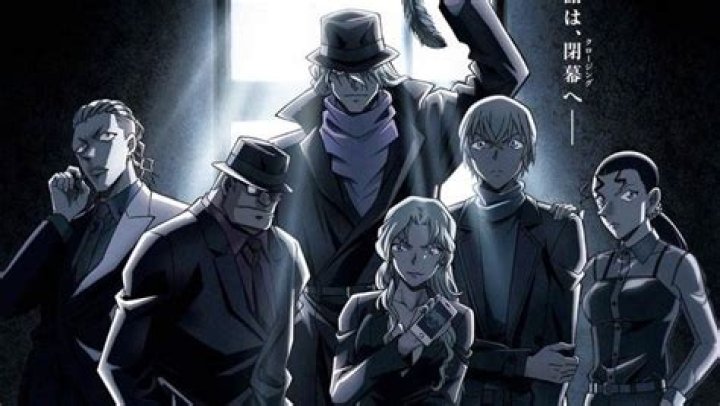 What episodes of Detective Conan is the black organization in?